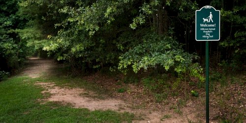 Outdoor pet area at Hillcrest Animal Hospital in Simpsonville, SC